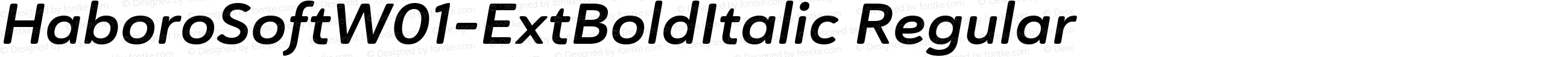 Haboro Soft W01 Ext Bold Italic
