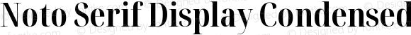 Noto Serif Display Condensed Bold