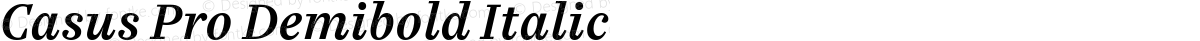 Casus Pro Demibold Italic