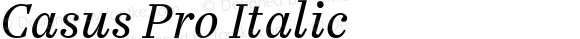 Casus Pro Italic