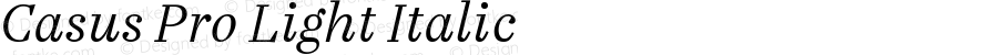 Casus Pro Light Italic