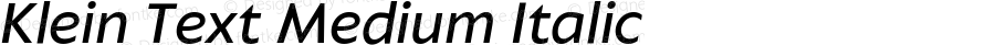 KleinText-MediumItalic