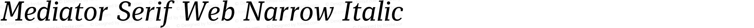 Mediator Serif Web Narrow Ital