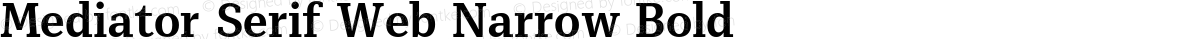 Mediator Serif Web Narrow Bold