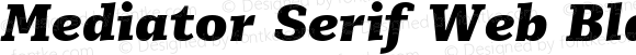 Mediator Serif Web Black Italic