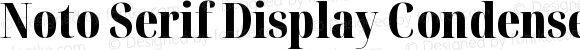 Noto Serif Display Condensed Black Regular