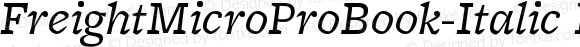 FreightMicro Pro Book Italic