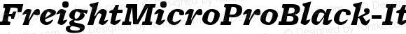 FreightMicroProBlack-Italic FreightMicro Pro Black Italic