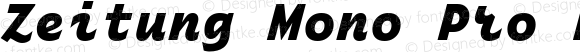 Zeitung Mono Pro Extrabold Italic
