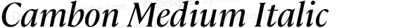 Cambon Medium Italic