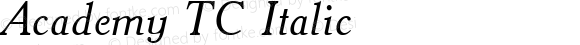 Academy TC Italic