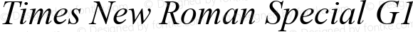 Times New Roman Special G1 Italic