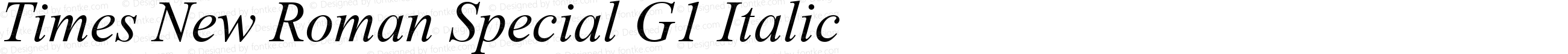 Times New Roman Special G1 Italic