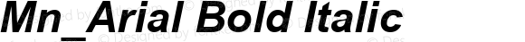 Mn_Arial Bold Italic 31 December 1996