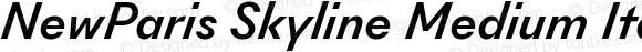 NewParis Skyline Medium Italic