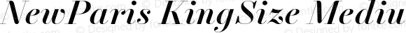 NewParisKingSize-MediumItalic