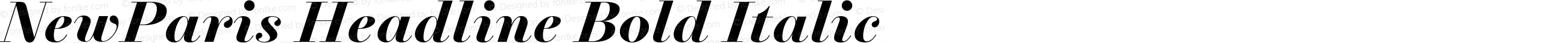 NewParis Headline Bold Italic