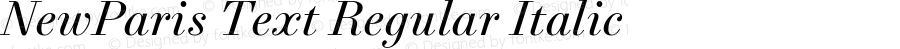 NewParis Text Regular Italic