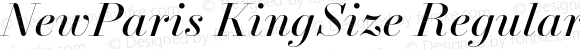 NewParis KingSize Regular Italic