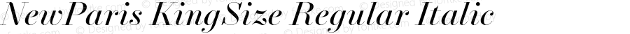 NewParisKingSize-RegularItalic