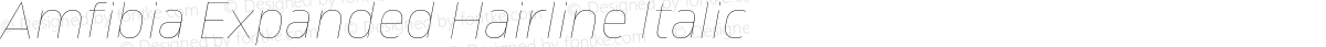 Amfibia Expanded Hairline Italic