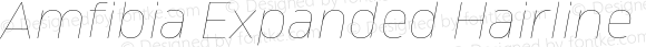 Amfibia Expanded Hairline Italic