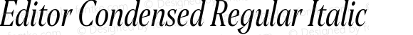 Editor Condensed Regular Italic
