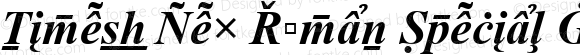 Times New Roman Special G2 Bold Italic