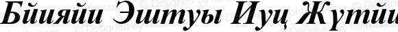 Danzan Times New Roman Bold Italic