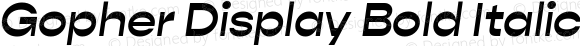 Gopher Display Bold Italic