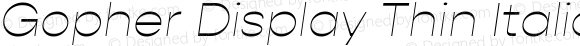 Gopher Display Thin Italic