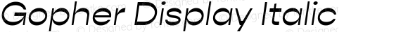 Gopher Display Italic