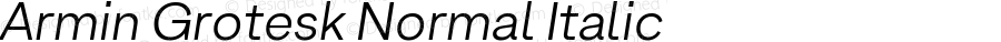 Armin Grotesk Normal Italic