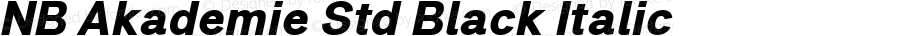 NB Akademie Std Black Italic