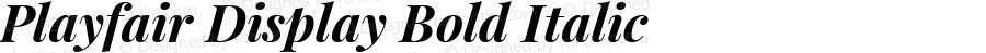 Playfair Display Bold Italic