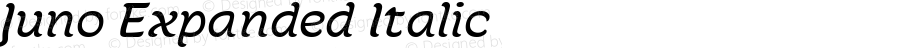 Juno Expanded Italic