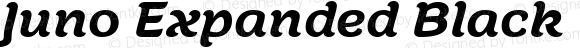 Juno Expanded Black Italic