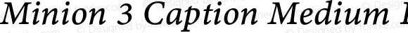 Minion 3 Caption Medium Italic