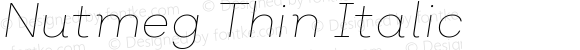 Nutmeg Thin Italic