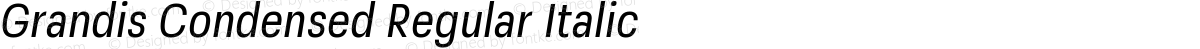 Grandis Condensed Regular Italic