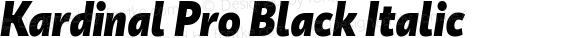 KardinalPro-BlackItalic