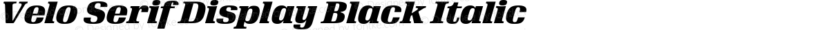 Velo Serif Display Black Italic