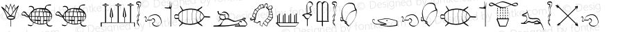 P22 Hieroglyphic Decorative