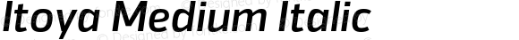Itoya Medium Italic