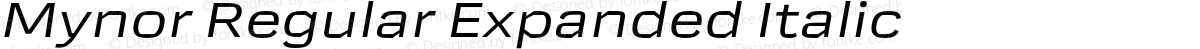 Mynor Regular Expanded Italic