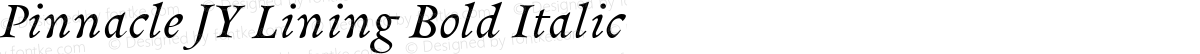 Pinnacle JY Lining Bold Italic