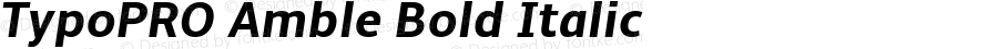 TypoPRO Amble Bold Italic