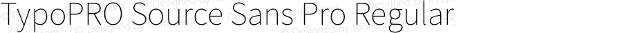 TypoPRO Source Sans Pro Regular