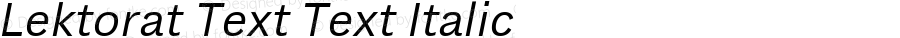 Lektorat Text Italic