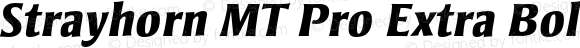 Strayhorn MT Pro Extra Bold Italic